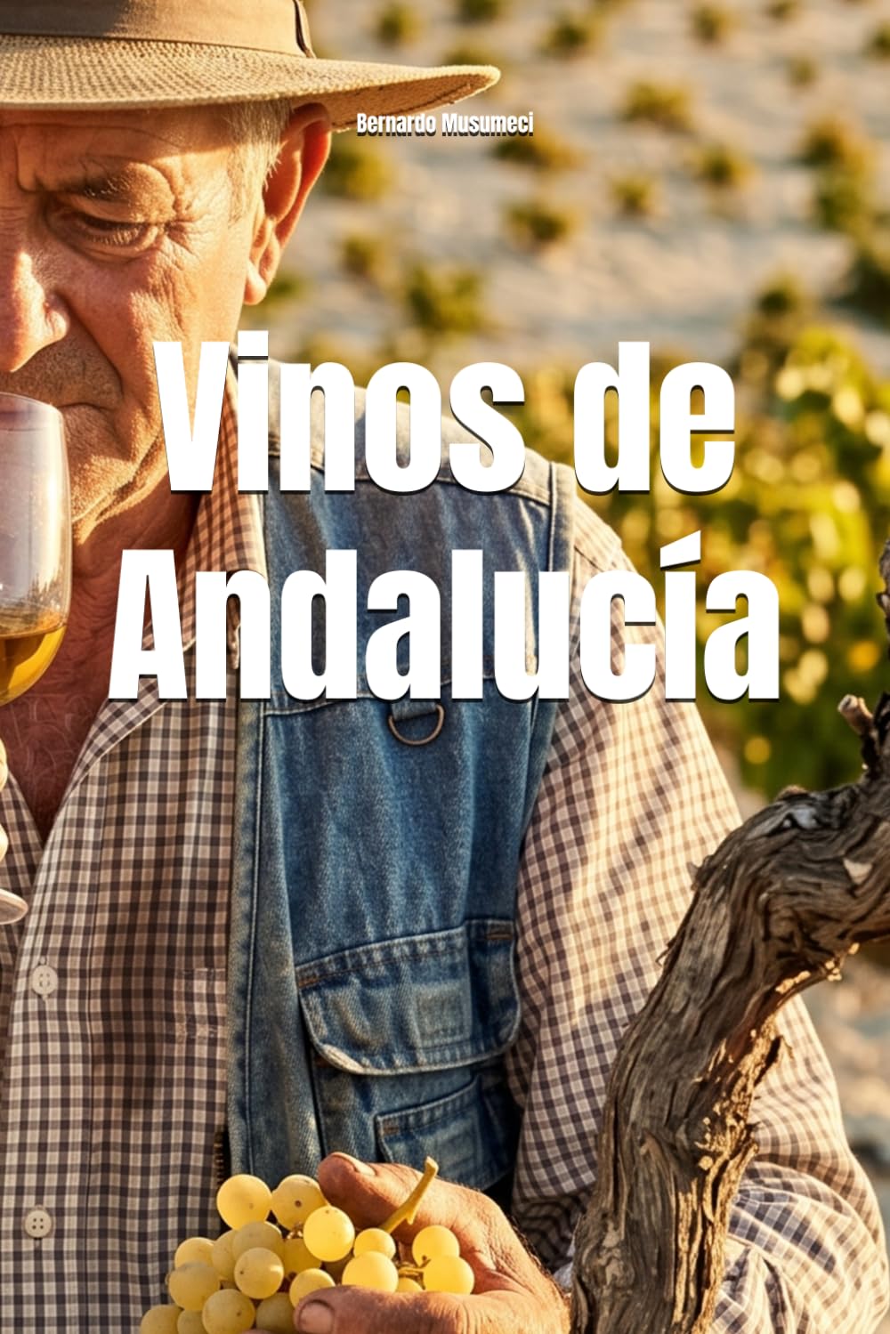 Vinos de Andalucía (Wines of the World: Spain)
