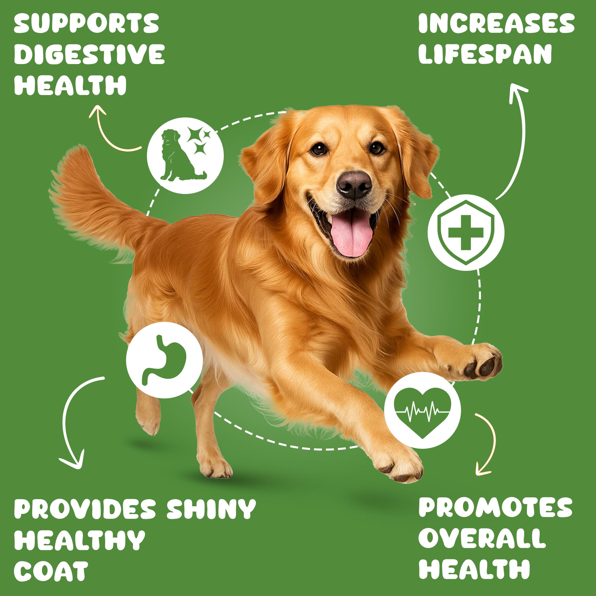 Pawpeye Wet Dog Food Weekly Box-Chicken & Broccoli Flavour | 7 Packs x 100g, 700g | for Adult Dogs & Puppies | Vet-Formulated, Human-Grade, Grain & Preservative-Free, 100% Natural 2