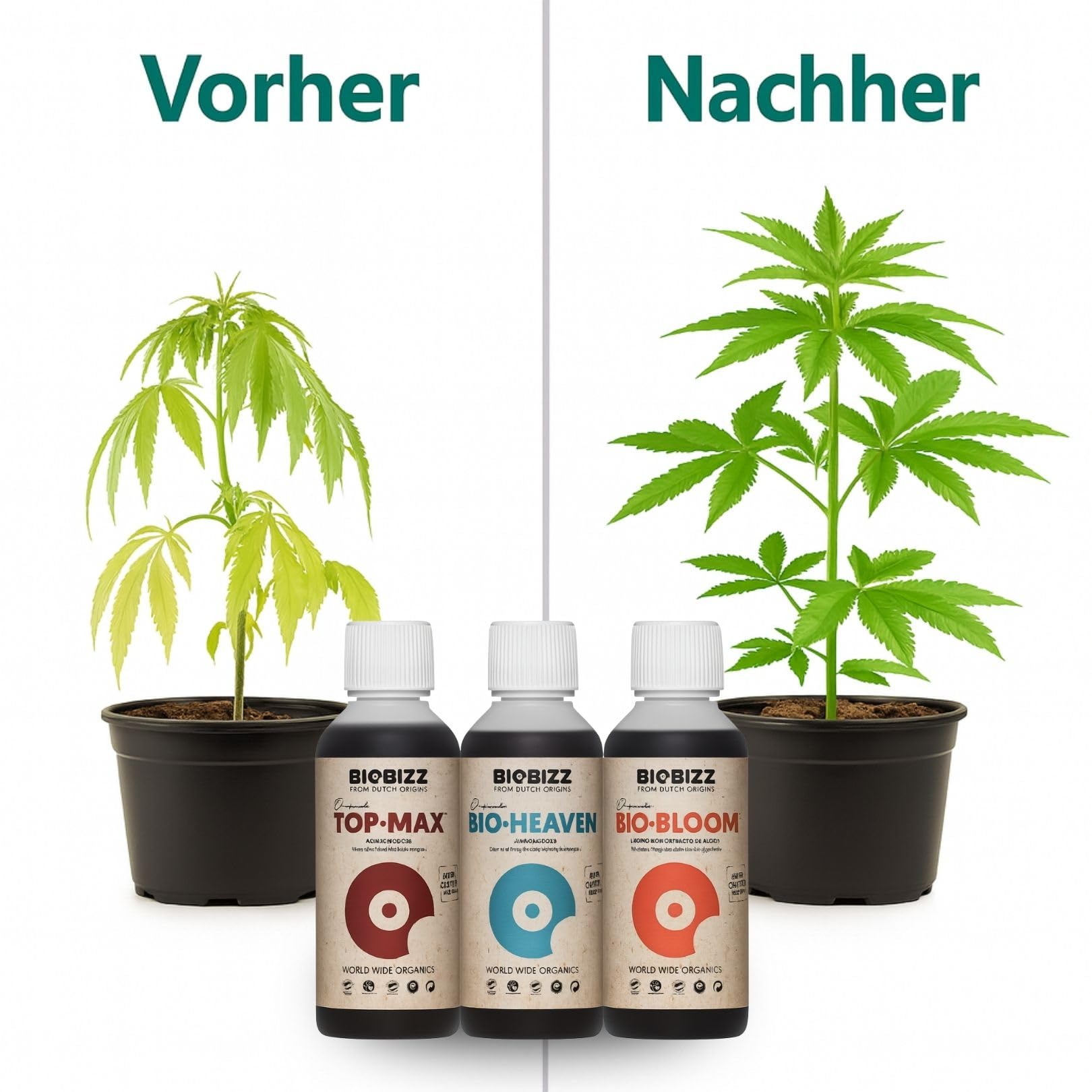 Weedness BioBizz Tripack Hydro – Kit 3 piezas para hidroponía – Fertilizantes orgánicos – Nutrición completa y crecimiento rápido