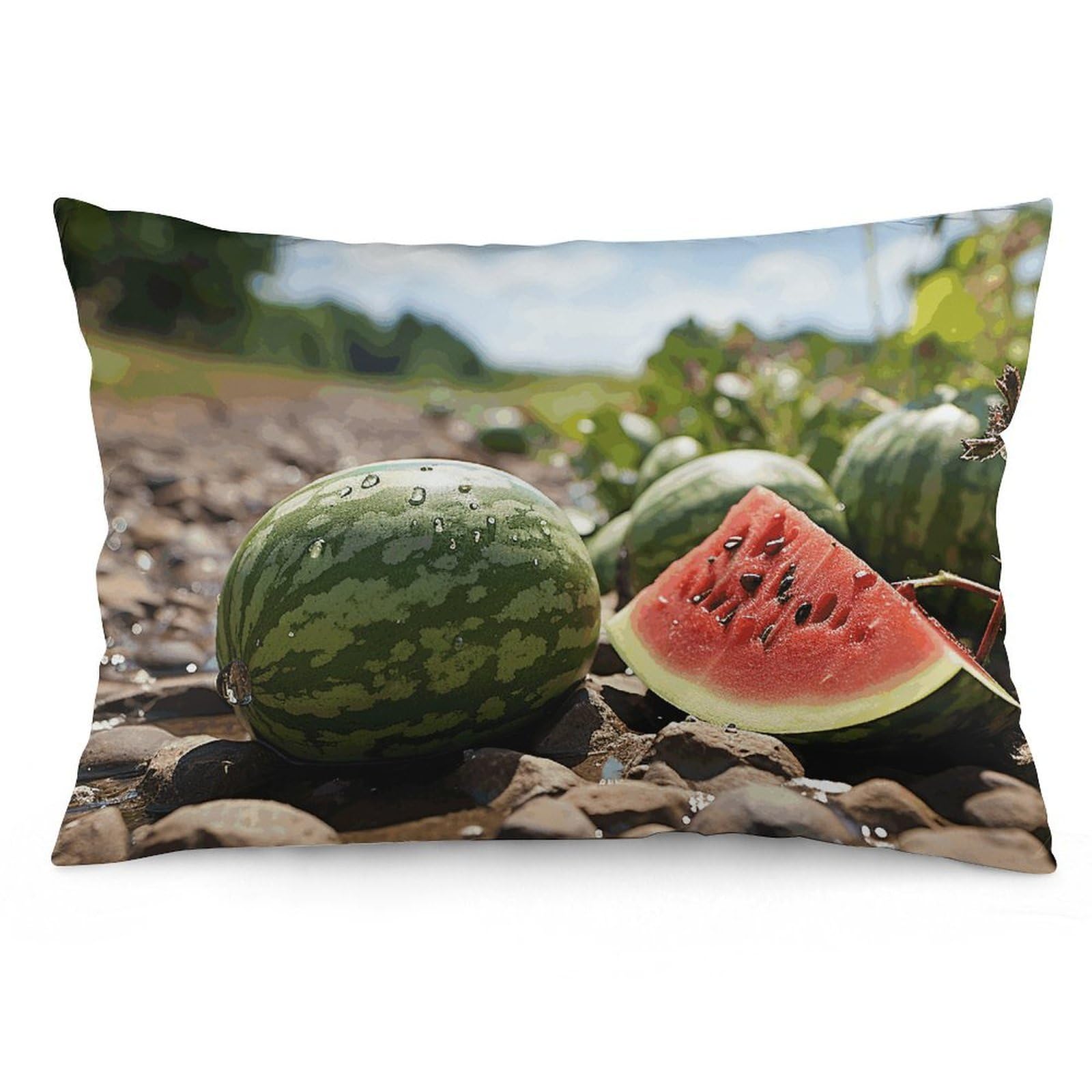 2 Pack Pillow Cases for Hair and Skin, Soft Breathable Pillow Case Covers with Hidden Zipper, Watermelon on The Ground Pillowcase 16 "x24 Pillow Covers for Sleeping Gift