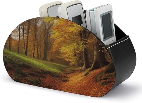 Autumn Remote Control Holder with 5 Compartments TV Remote Holder PU Leather Remote Caddy Remote Box TV Remote Control Storage Box for Table Desktop Organizer