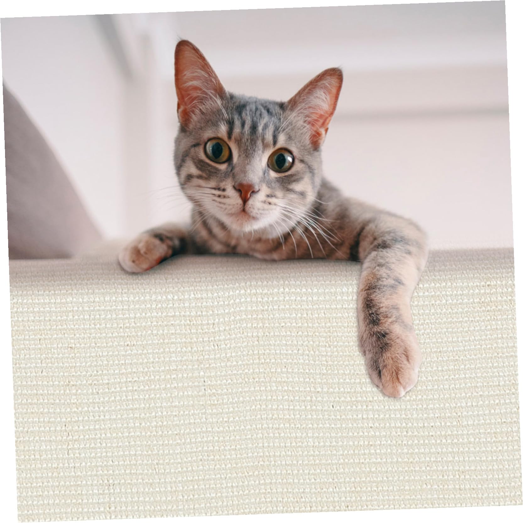 Happyyami Protector contra Arañazos Material Resistente y Entretenido para Sofá Garra de Sisal, Funda Protectora para Reposabrazos para Gatos en Casa o Tienda