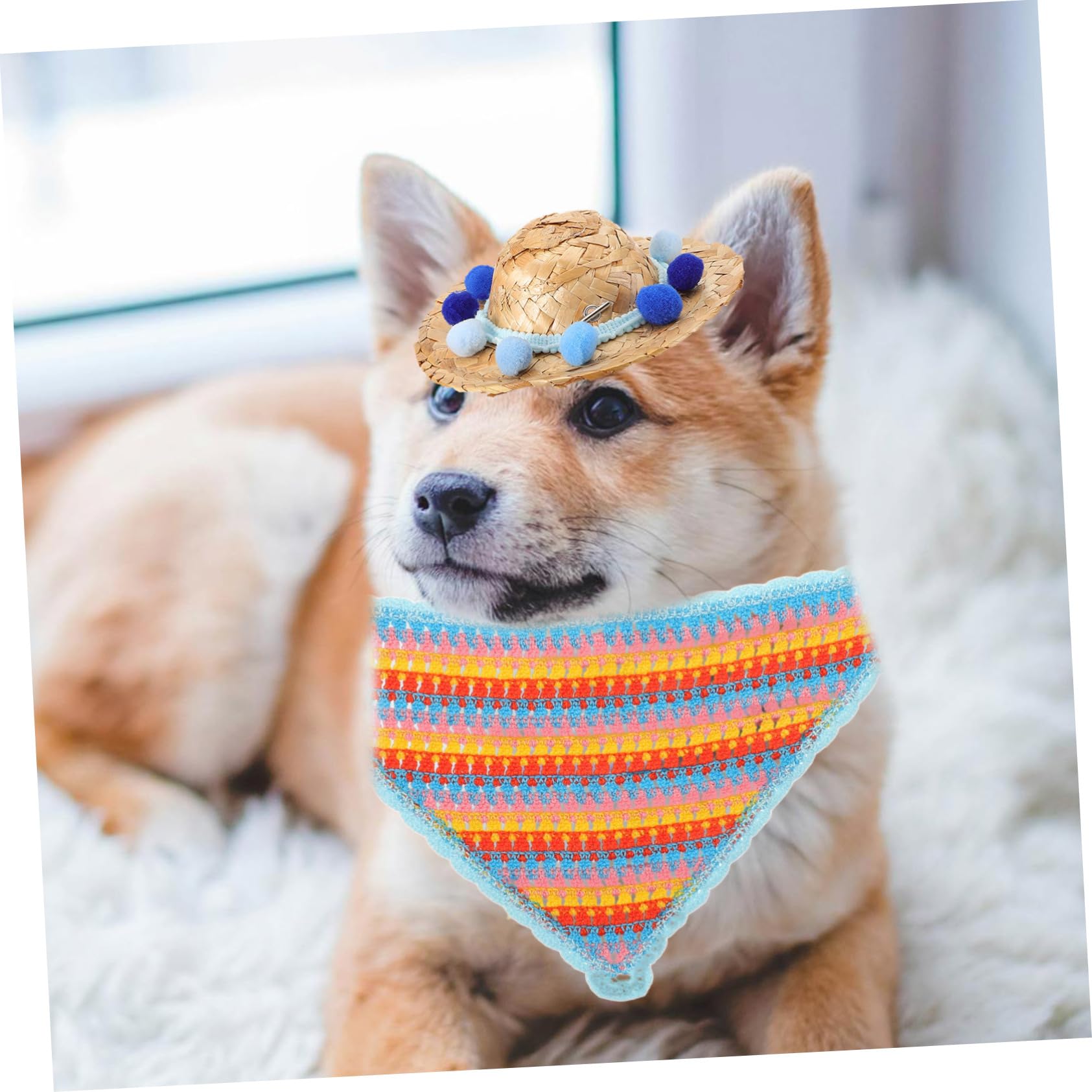POPETPOP Chapeau pour Chien avec Coiffe Et Bandana Accessoire Photo Élégant pour Fête Danniversaire