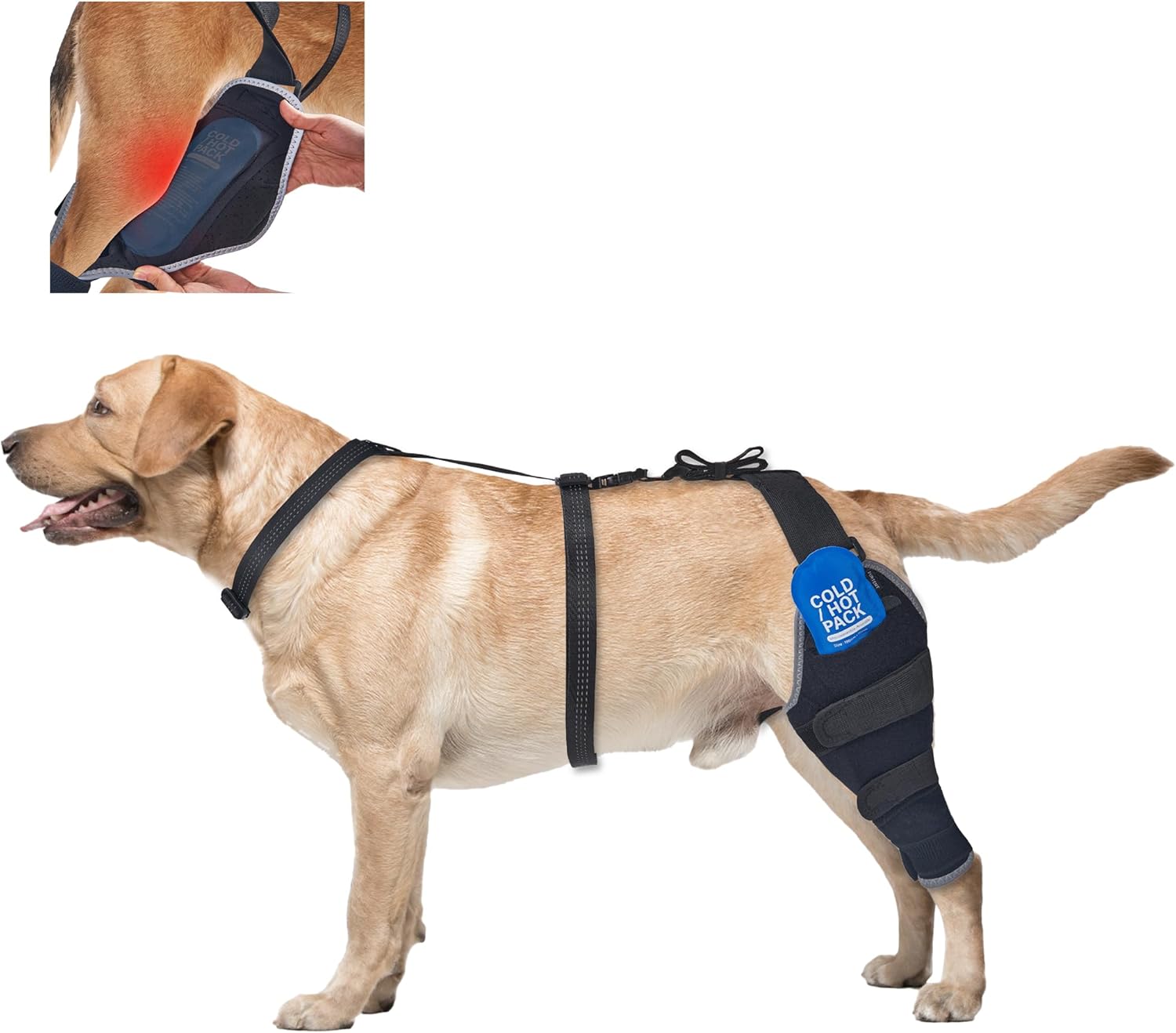 Dog ACL Knee Brace Hind Leg Support, Removable Hot/Cold Gel Packs for Joint Pain & Knee Discomfort, Senior Dog ACL Ice Pack, L