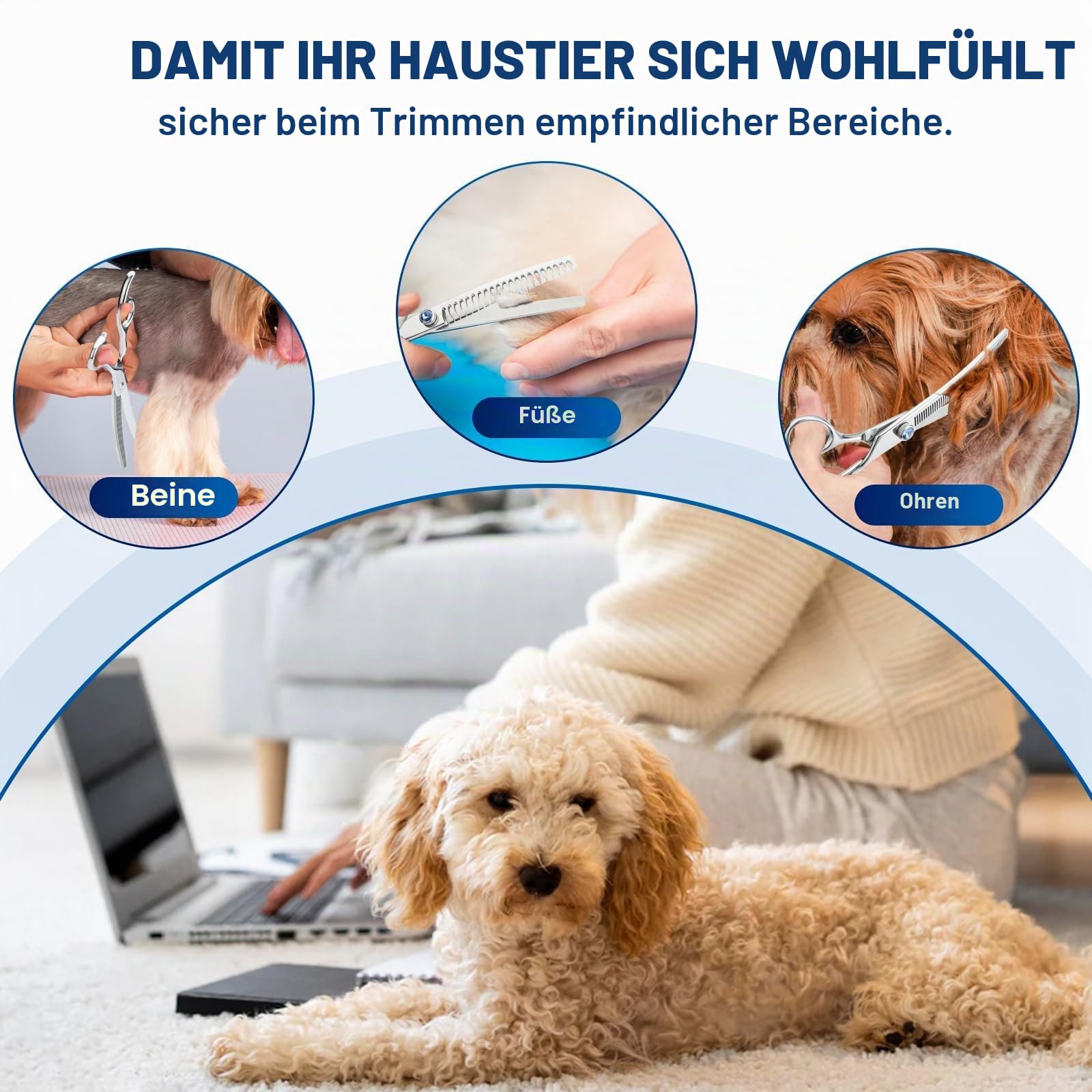JASON 7" Gebogene Chunker Hundeschere - Profi Hundepflege Schere, Ausdünnungsschere für Hunde, Japanisch 440C-Edelstahl Pflegeschere Professionelle Fellschere für Groomer (21 Zähne)