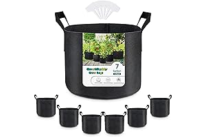 Rapid Root Growth in 7-Gallon Grow Bags
