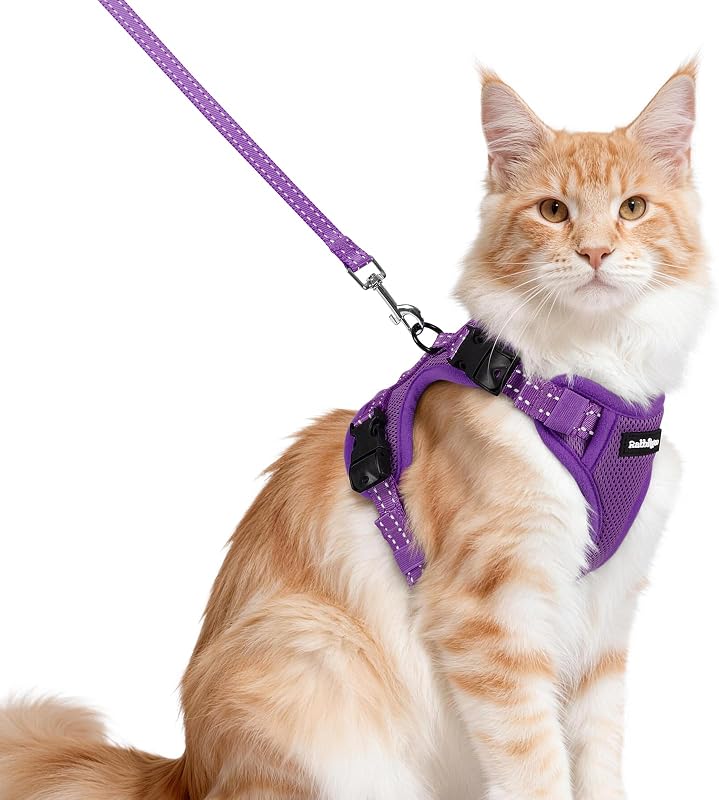 Peitoral para Gatos com Guia, Ajustável e com Faixas Refletivas rabbitgoo Roxo