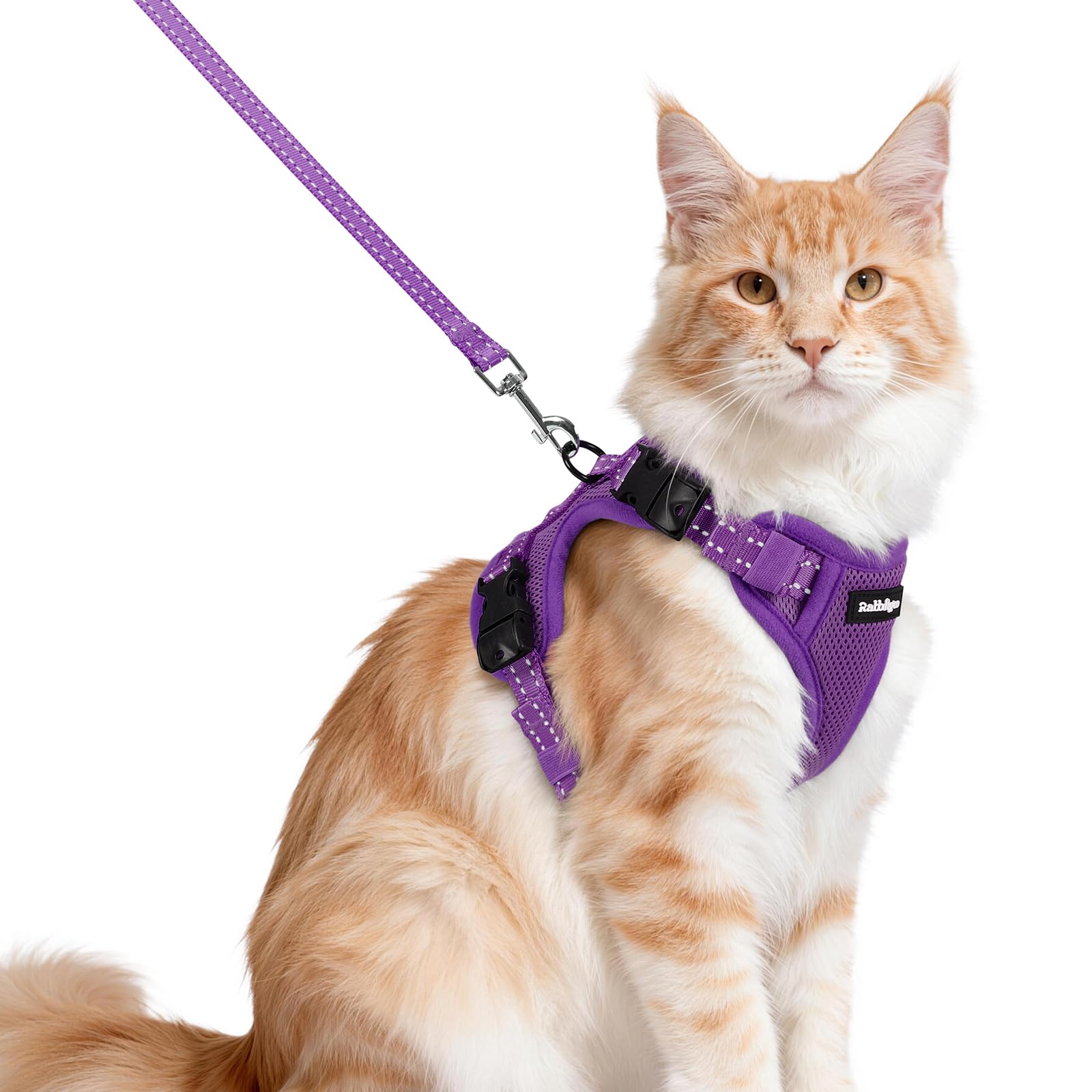 rabbitgoo Cat Harness and Lead Set, Escape Proof Kitten Harness with 3 Adjustable Buckles, Soft Comfortable Cat Vest with Leash, Easy to Wear, Reflective for Safe Outdoor Walking, Medium, Purple