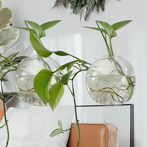 Miniatura 5 de PRETYZOOM Maceta colgante de pared, contenedor de terrarios de montaje en pared para plantas hidropónicas, estaciones de propagación de macetas