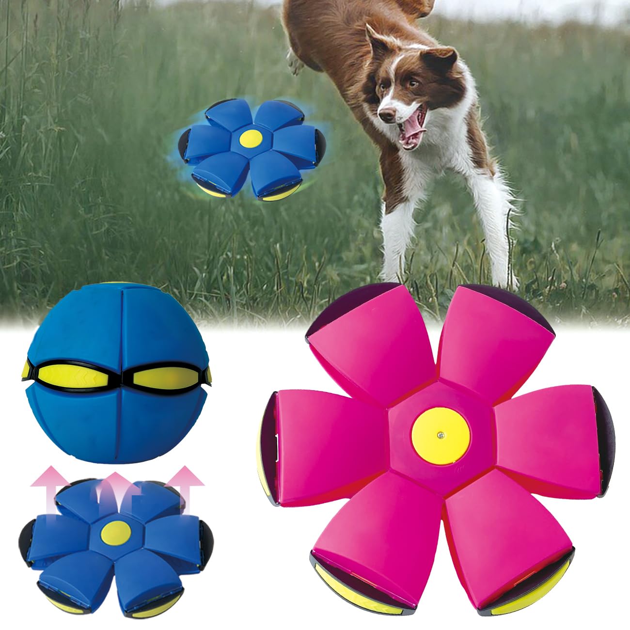See full amazon price history chart for FlidRunest 2PCS 2023 New Pet Toy Flying Saucer Ball, Flying Saucer Ball Dog Toy with 3 Light Models for Interactive Dog,Cats, Childrens Foot Ball,Outdoor Games,Camping Games FlidRunest 2PCS 2023 New Pet Toy Flying Saucer Ball, Flying Saucer Ball Dog Toy with 3 Light Models for Interactive Dog,Cats, Childrens Foot Ball,Outdoor Games,Camping Games (B0C134HT83) Amazon Price History, Amazon Price Tracker