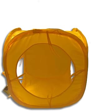 Rainbow Pop Collapsible Cubes Play Tunnel for Cats ColorYellow SizePack of 1