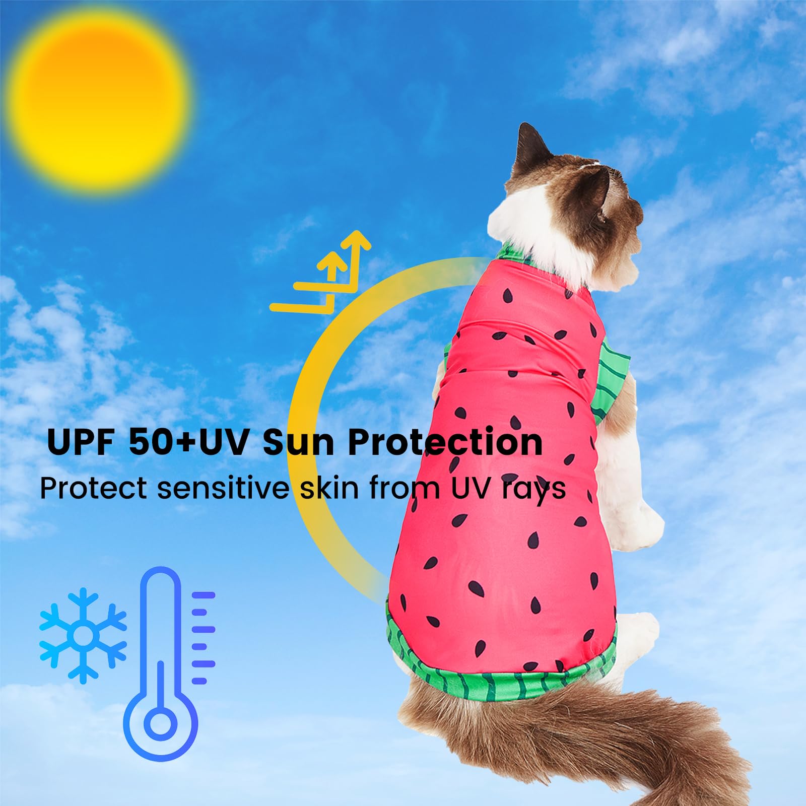 Sphynx koszula z motywem kota arbuza i kapelusz przeciwsłoneczny na lato, chłodząca, oddychająca koszula UPF 50+, odzież dla kotów i małych psów, odzież dla kotów (M (1,6-2,5 kg)