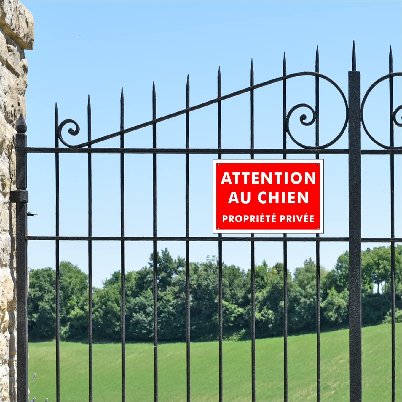 AUA SIGNALETIQUE Cartello Proprietà Privata – Attenzione Cane In Guardia, 150x105 Mm, Alluminio Dibond 3mm