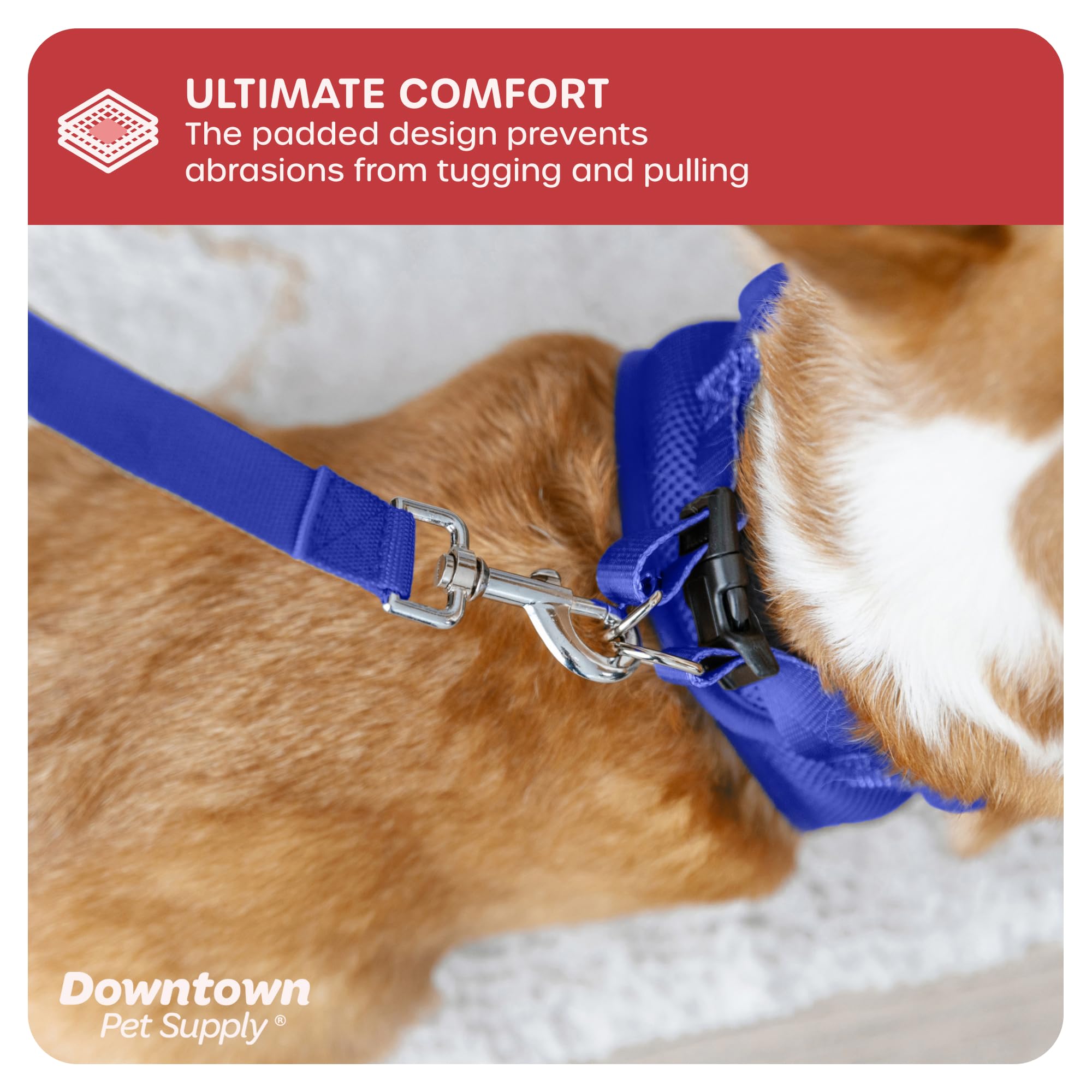 Downtown Pet Supply - Arnés para perros pequeños sin tirones, arnés ajustable con tela de malla acolchada y ribete reflectante, con correa y hebilla, talla S, azul
