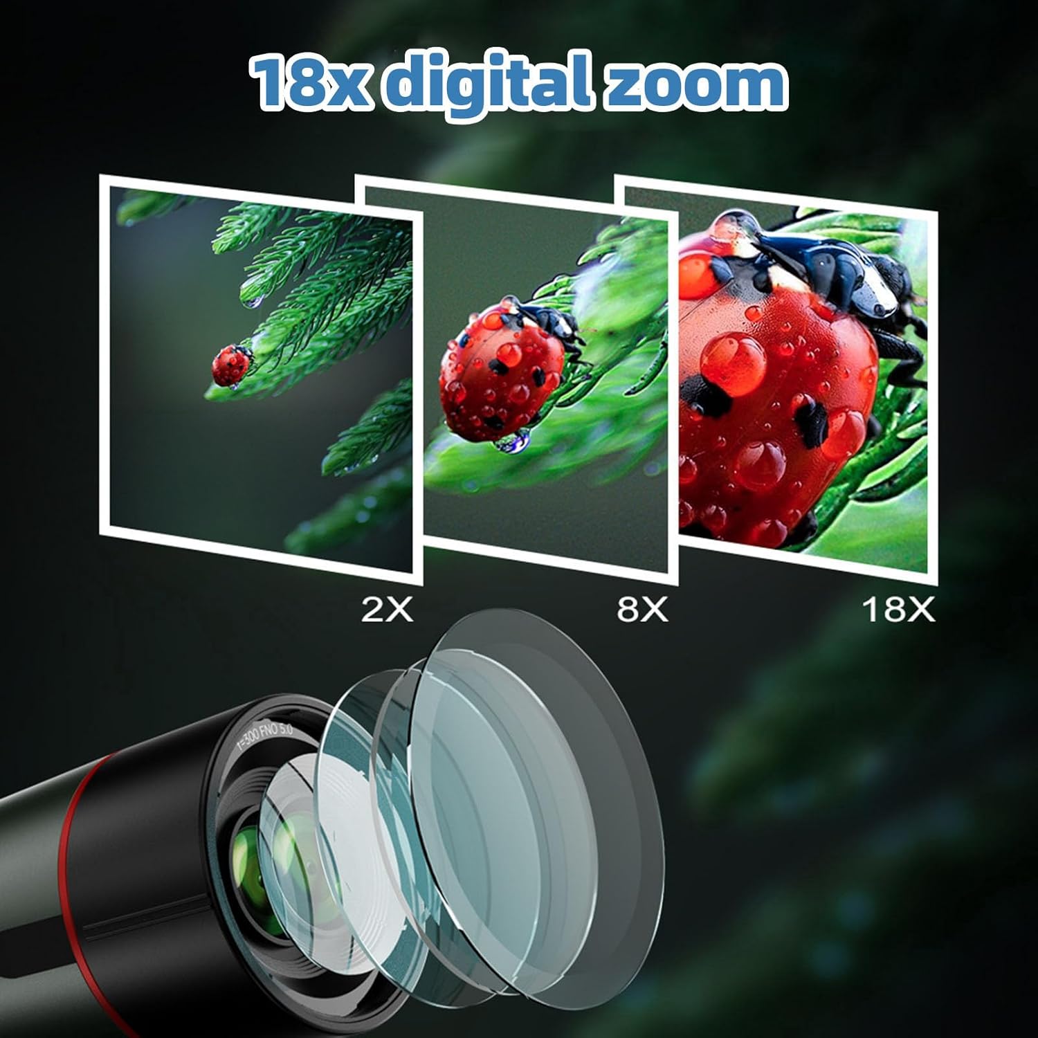 Illustration of 18x digital zoom showing progressive magnification of a ladybug on a leaf.