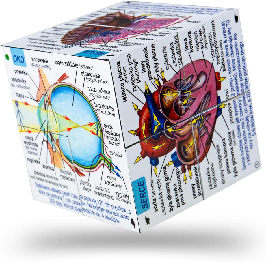 ZooBooKoo POLISH Human Body Systems and Statistics Cubebook - Fold-Out Cube