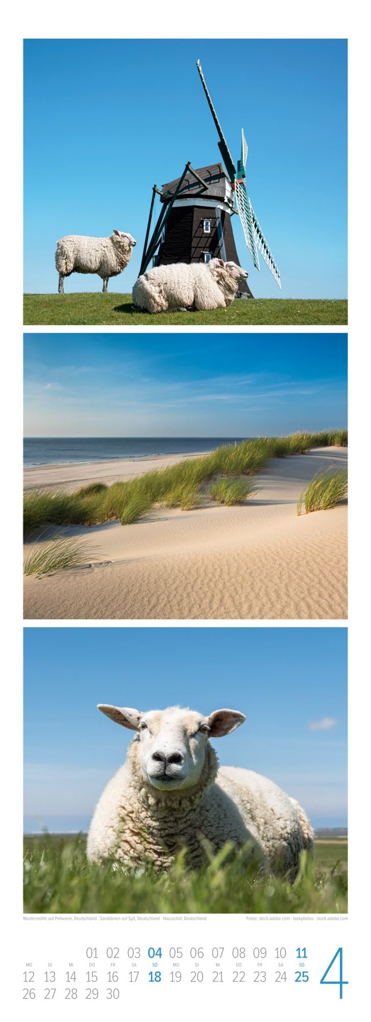 Wellengang Triplet-Kalender 2027 | Spaziergang entlang der Küste | Stilvoller Meeres-Kalender im schlanken Hochformat (24x66 cm) | Triplet-Fotografie
