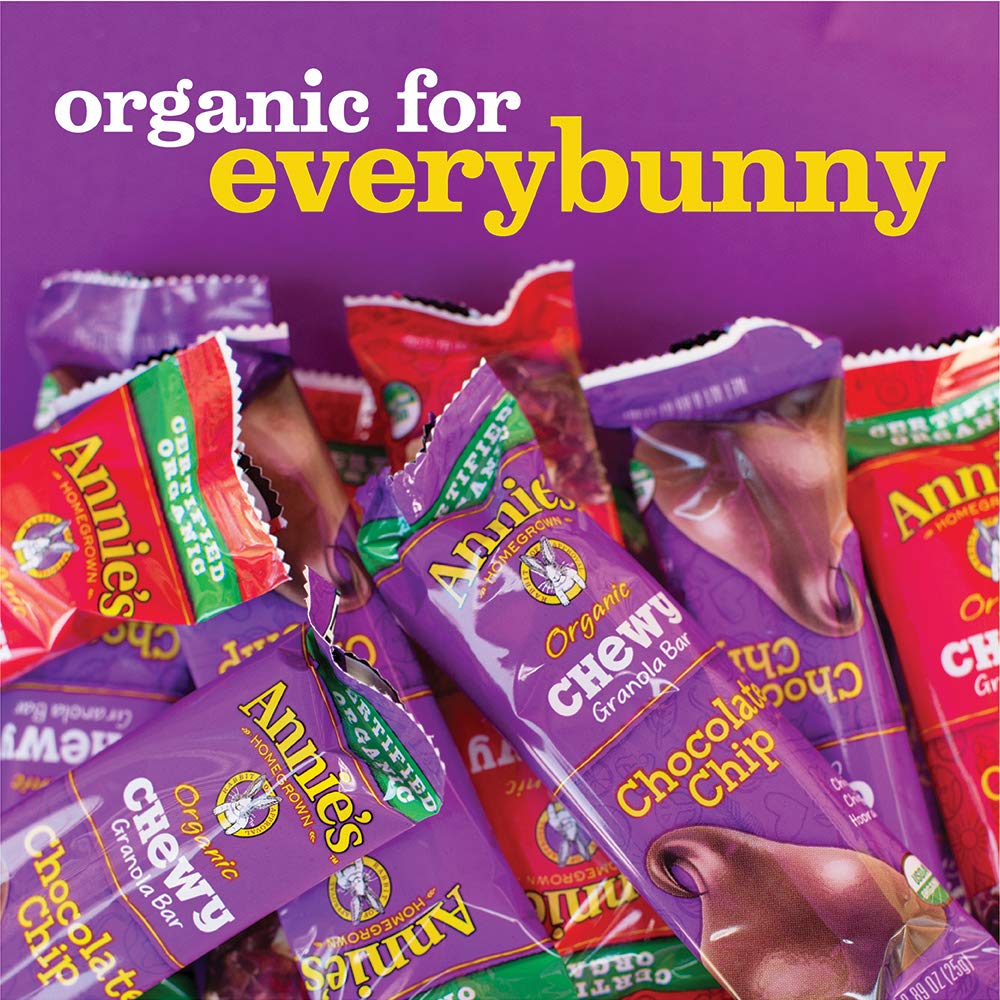 Annies Organic Chewy Chocolate Chip Granola Bars 6 Ct Pack | Desertcart ...