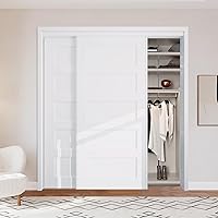 BARNSMITH 72x80 5-Panel Bypass Sliding Closet Door - Steel Frame White Primed, Paintable, Lightweight with Top & Bottom Tracks