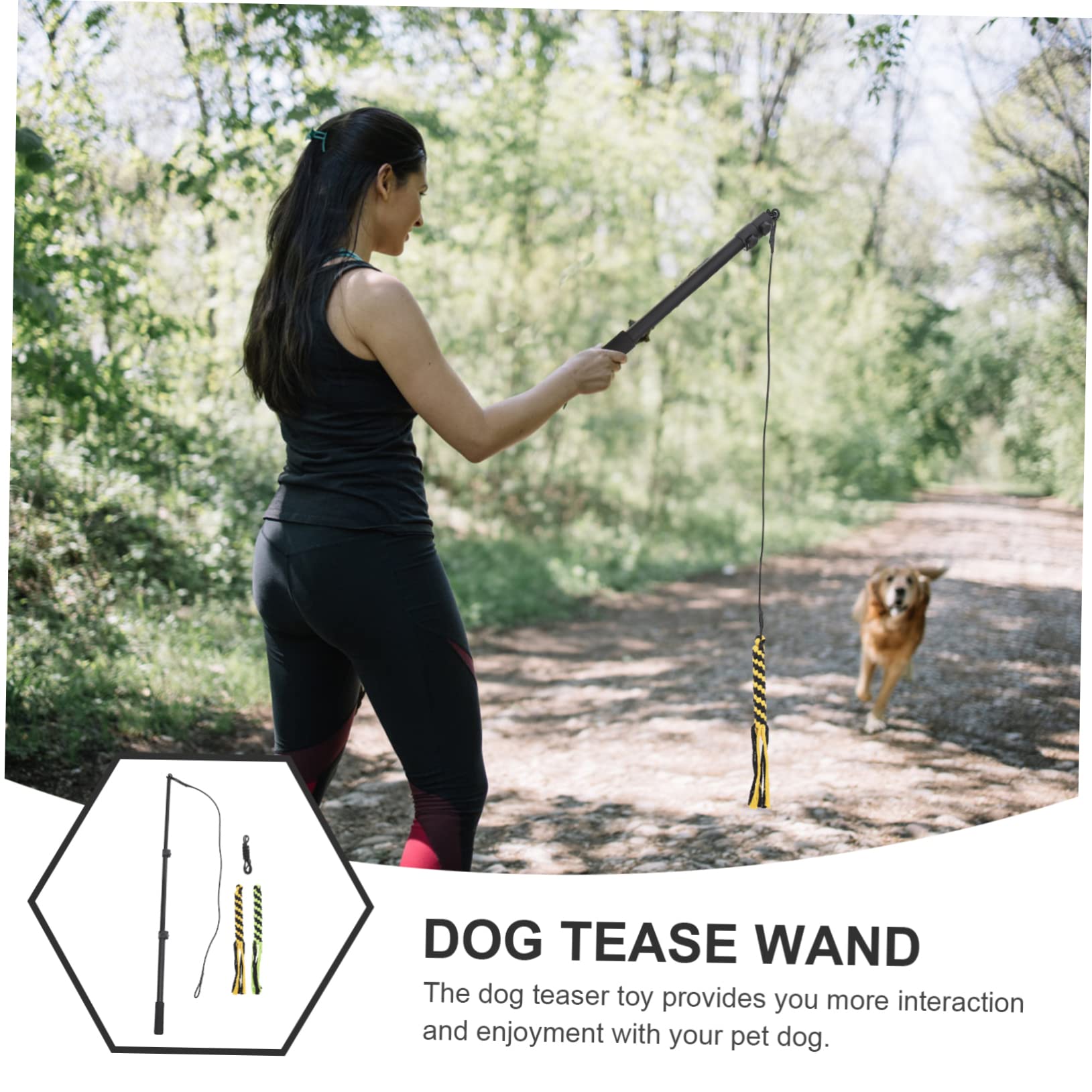 Sosoport 1satz Telescopische Hundespielzeug-Stange Robuste Langlebige Flirtstange Für Hunde Teiliges Für Aktives Spielen Und Training Für Kleine Und Große Hunde