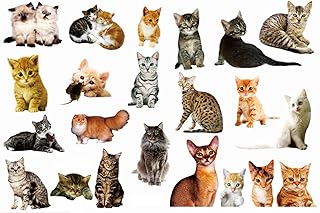 22PCS Removable 3D Cartoon Animal Cats PVC Wall Stickers Easy to Peel and Stick