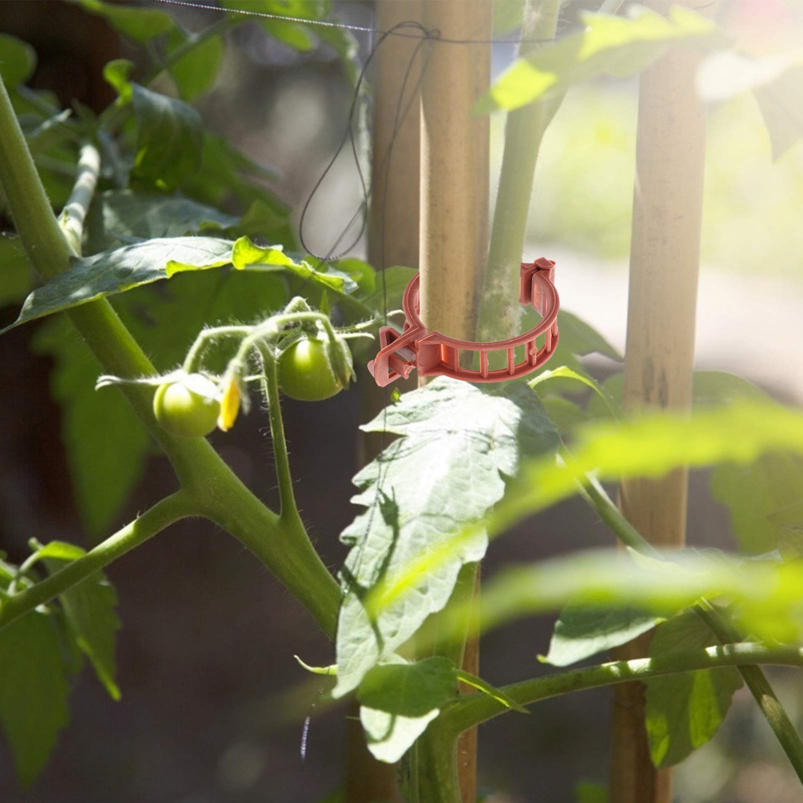 ibasenice 400 Pezzi di Clip per Innesto Morsetti da Giardinaggio Clip di Supporto per Piante Riutilizzabili per più Stagioni