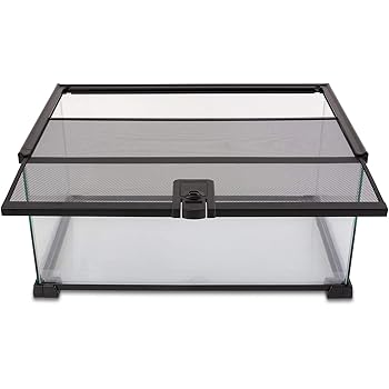 reptizoo glass terrarium