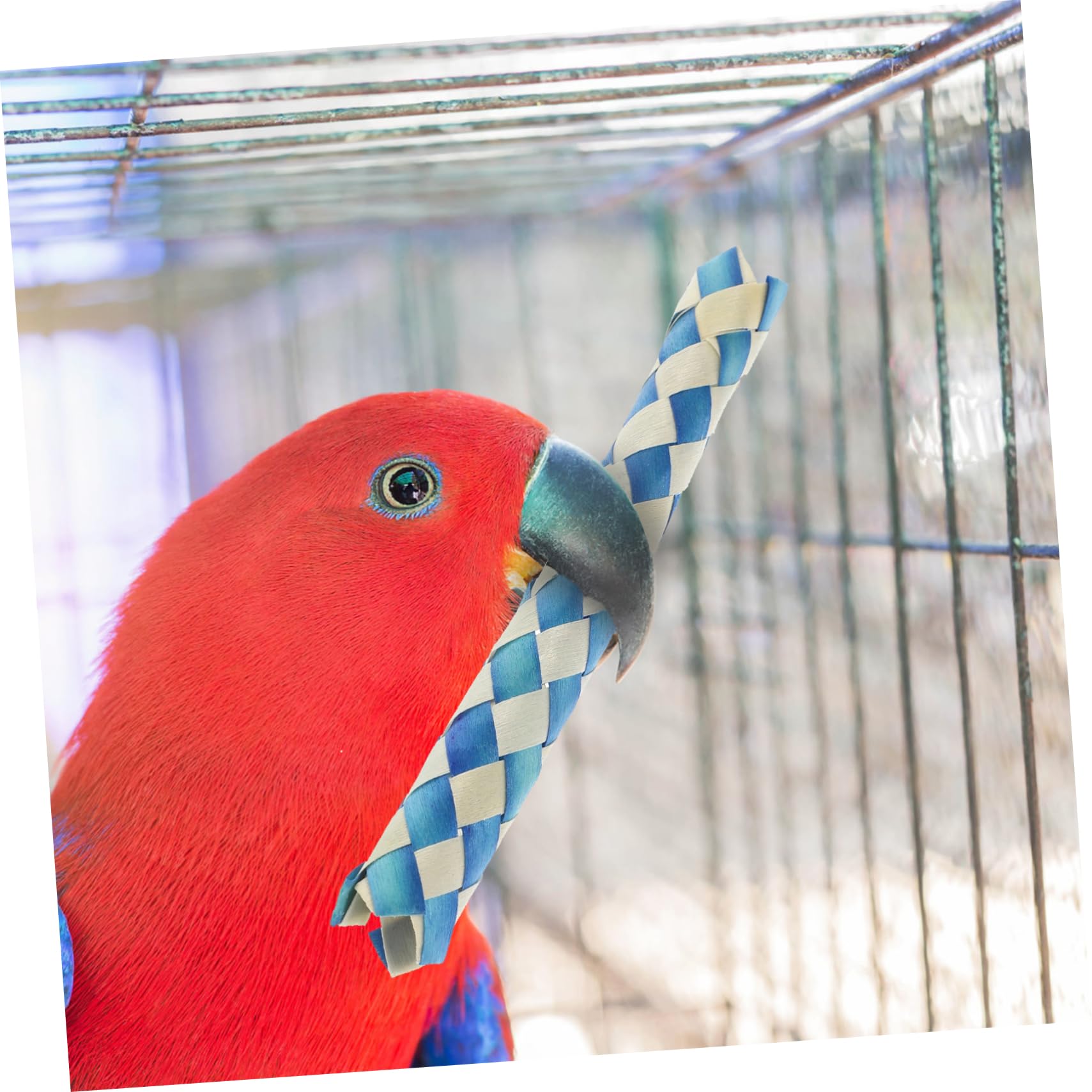 24pièces Jouet pour Oiseaux Accessoires De Fête Anniversaire Remplissage De Et De pour Oiseaux Jouets à Mâcher pour Perruches Et Perroquets Aléatoires