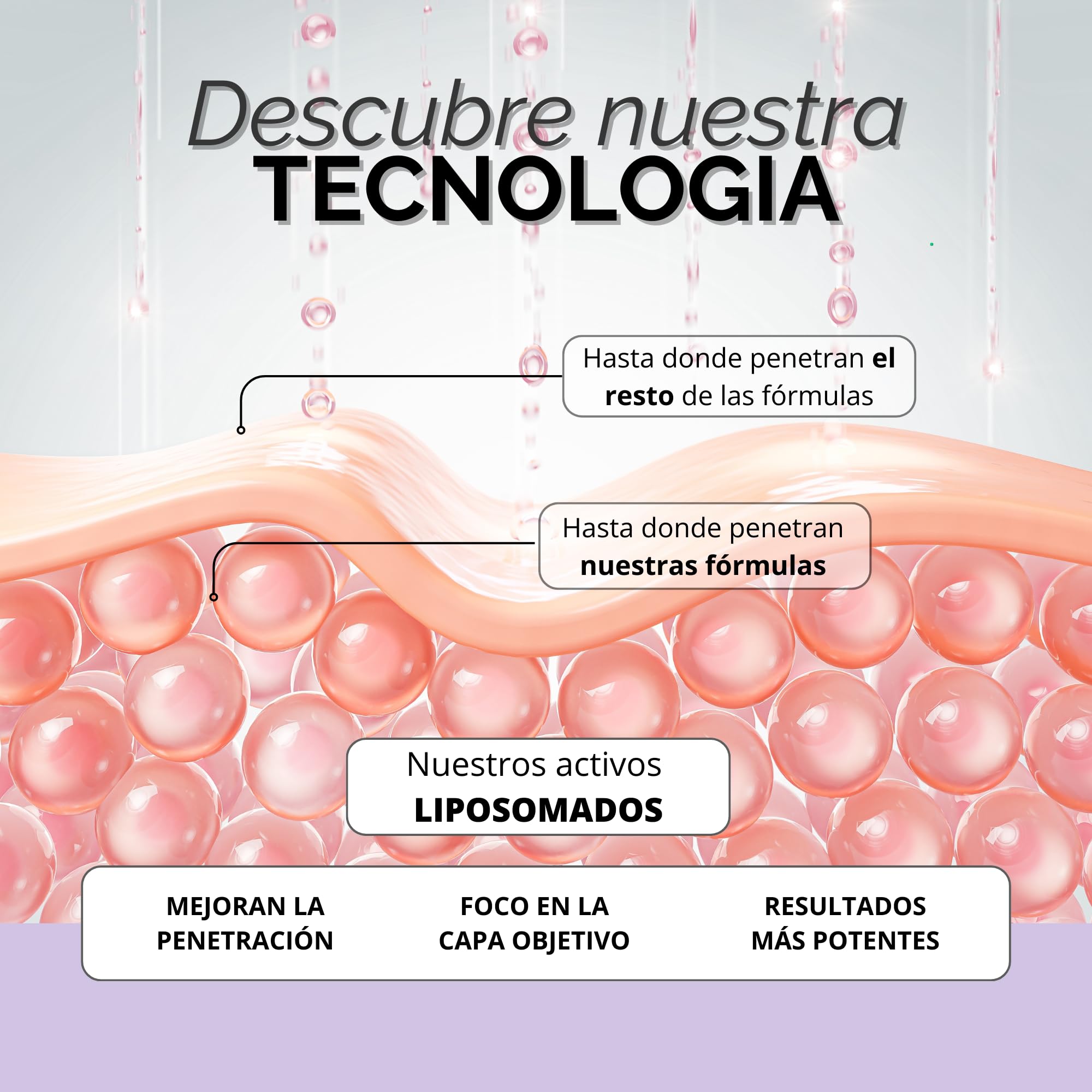 Sérum con Vitamina C y E + Ácido Ferúlico - Sérum Facial Mujer Antiedad - Rellenador de Arrugas | Poderosa Combinación Revitalizante de Rápida Absorción | Nonna - AOX Booster | 30ml