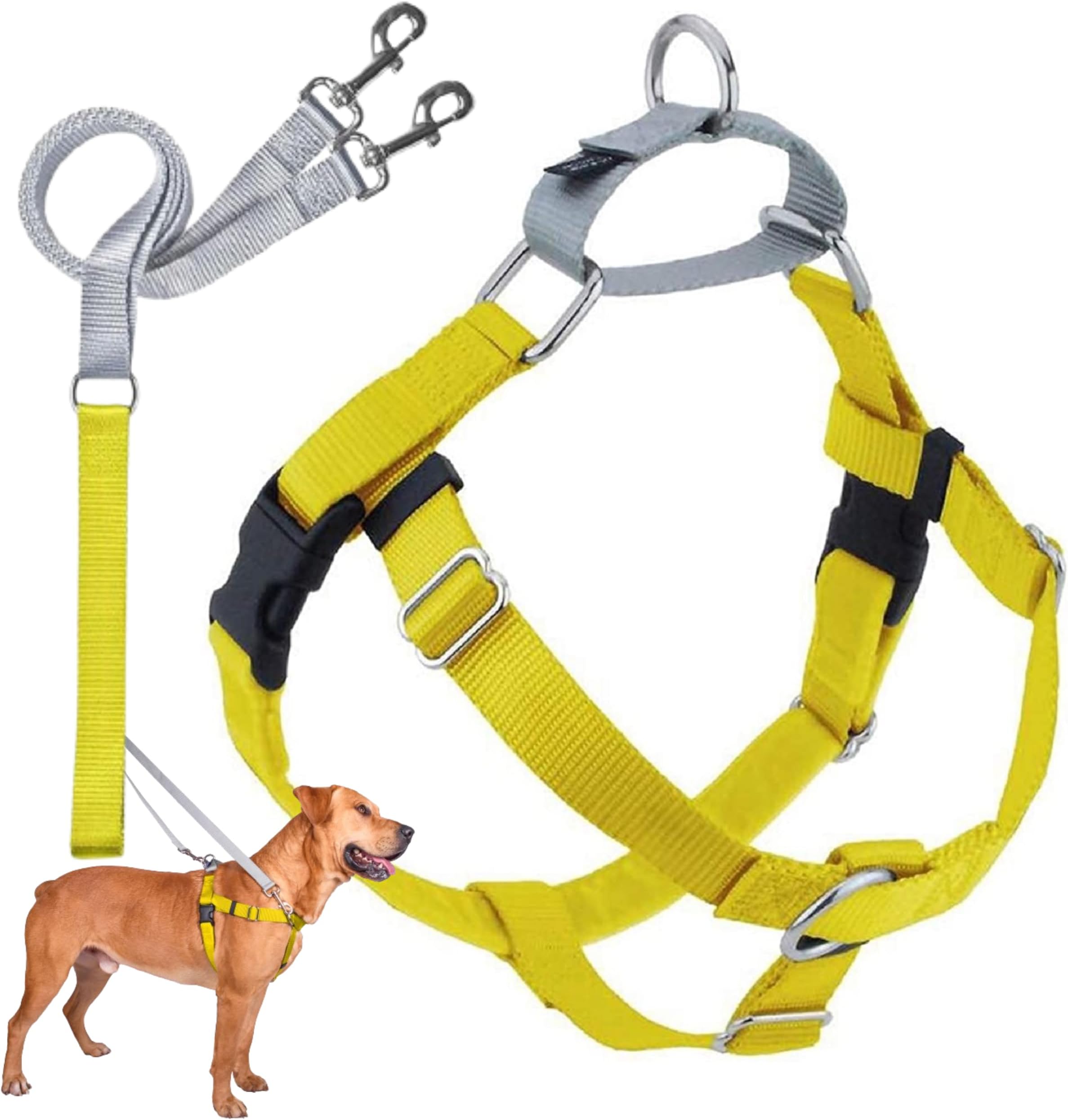 2 Hounds Design Freedom No Pull Dog Harness, Adjustable Harness and Leash Set, Easy Walking & Comfortable Control, Fits Small, Medium & Large Dogs, Solid Colors, Made in USA, 1" LG, Yellow