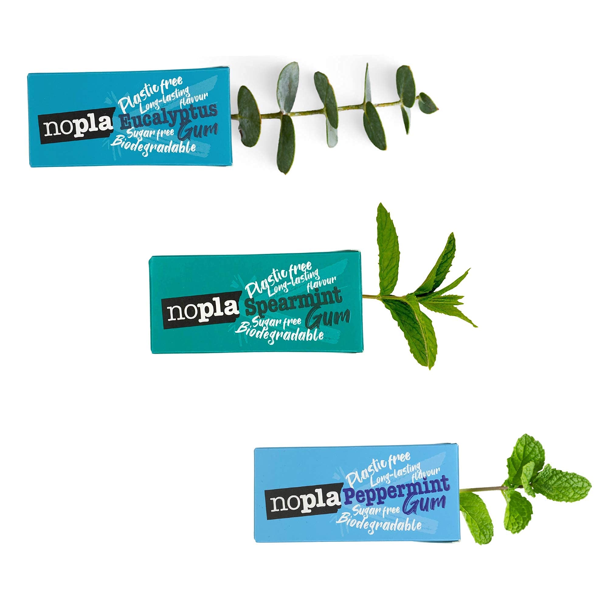 Nopla Chewing Gum | Plastic Free + Natural | Vegan + Biodegradable | Sugar-free + Aspartame-free, Sweetened with Xylitol | (Pack of 12, 120 pieces) (Eucalyptus, Peppermint, Spearmint)