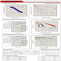 Vista 6 de Raion Power RG126-22HR 12V 5.5Ah Compatible Replacement High Rate Discharge Rechargeable UPS Battery for Powerware Prestige EXT 750-5 Pack