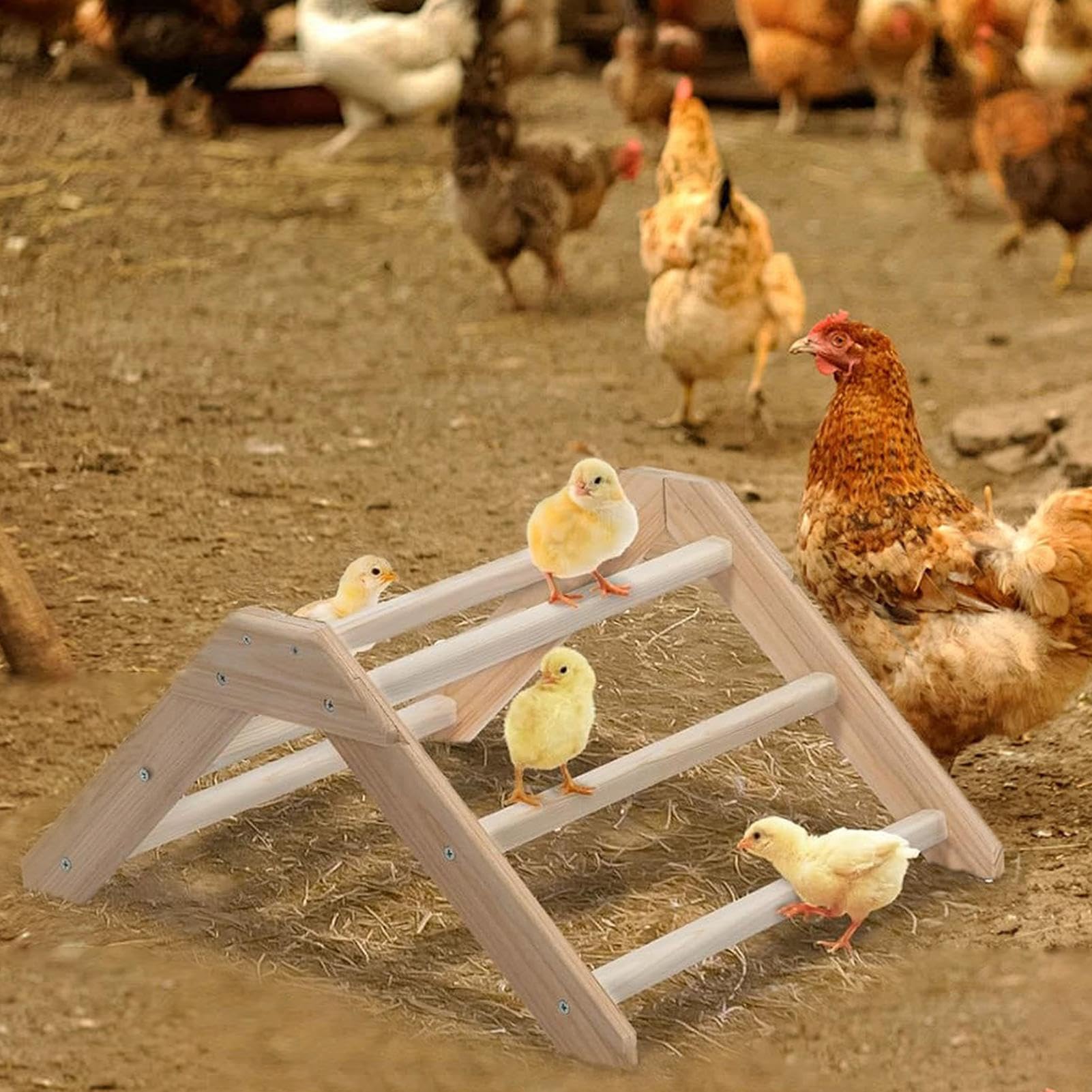 Perchoir à poules pour poulaillers | Escabeau en bois pour poules | Échelle Cage animaux domestiques et volaille