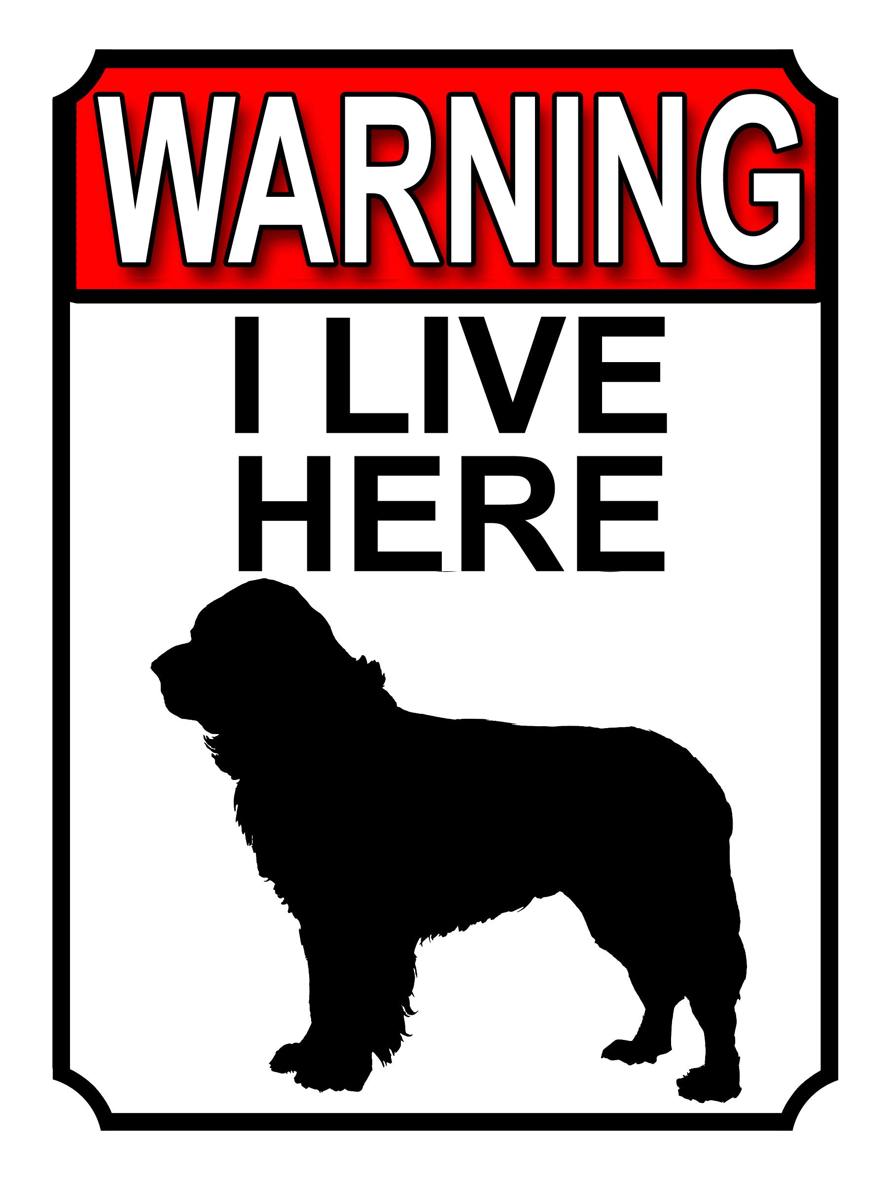 WARNING I LIVE HERE METAL GATE SIGN ST BERNARD DOG THEME 200MM X 150MM (1823H1)