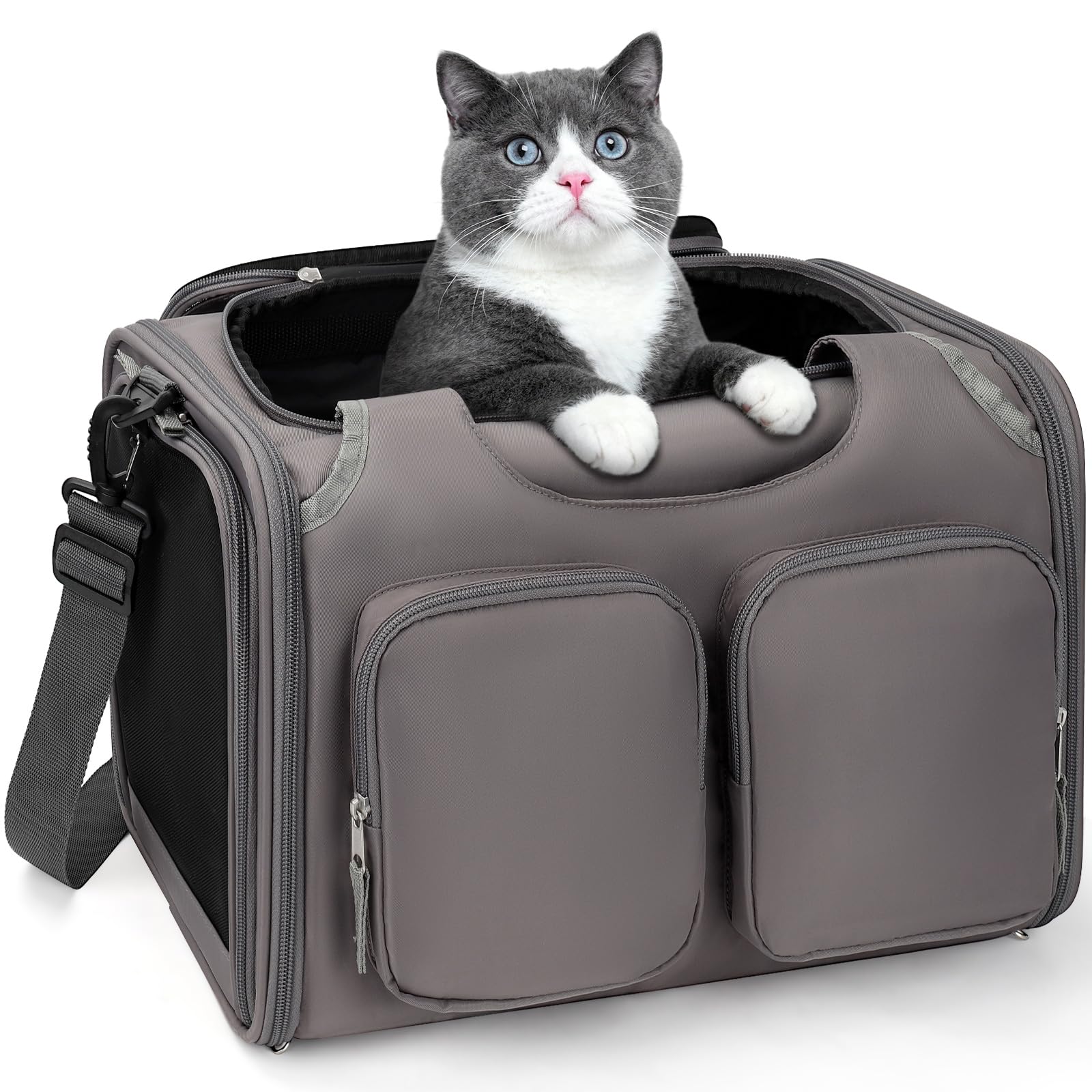 Dog, Cat Carrier for Pets Up to 12 Lbs, Airline Approved Collapsible Soft-Sided Pet Travel Bag with Locking Zippers, Breathable Mesh and 4 Large Pockets, Removable Fleece Pad (Grey)