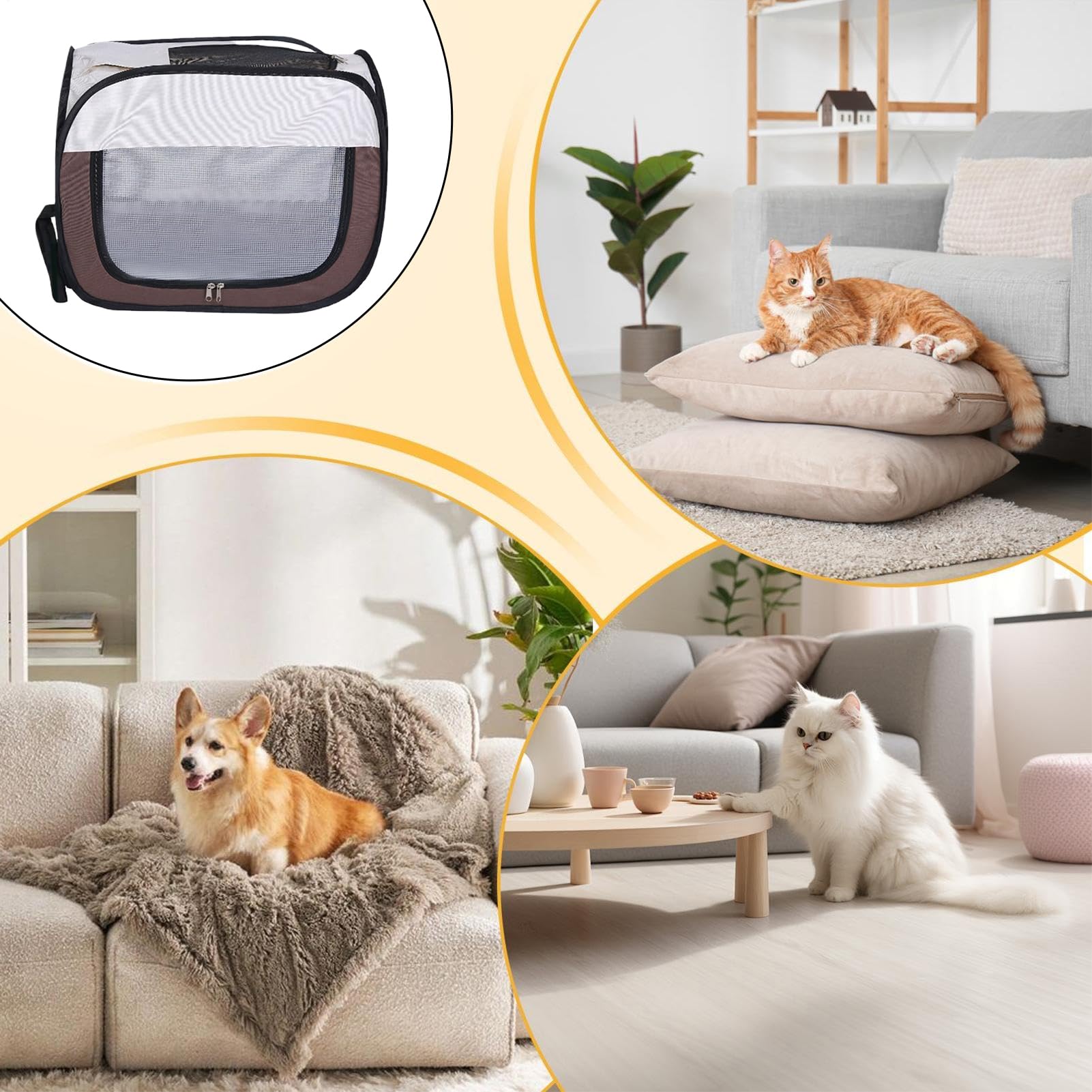Asciugatrice per gatti, asciugatrice per cani e cabine di essiccazione, accessorio impermeabile anti-proiezione di per toelettatura, bagni e pulizia di cuccioli e gatti