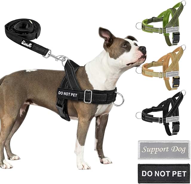 Eyein Dog Harness with Lead for Large, Medium Dogs, Soft Padded Chest Harness with 2 Lead Clips, Reflective & Lightweight Anti-Pull Harness for Walks Training, Black, M product image