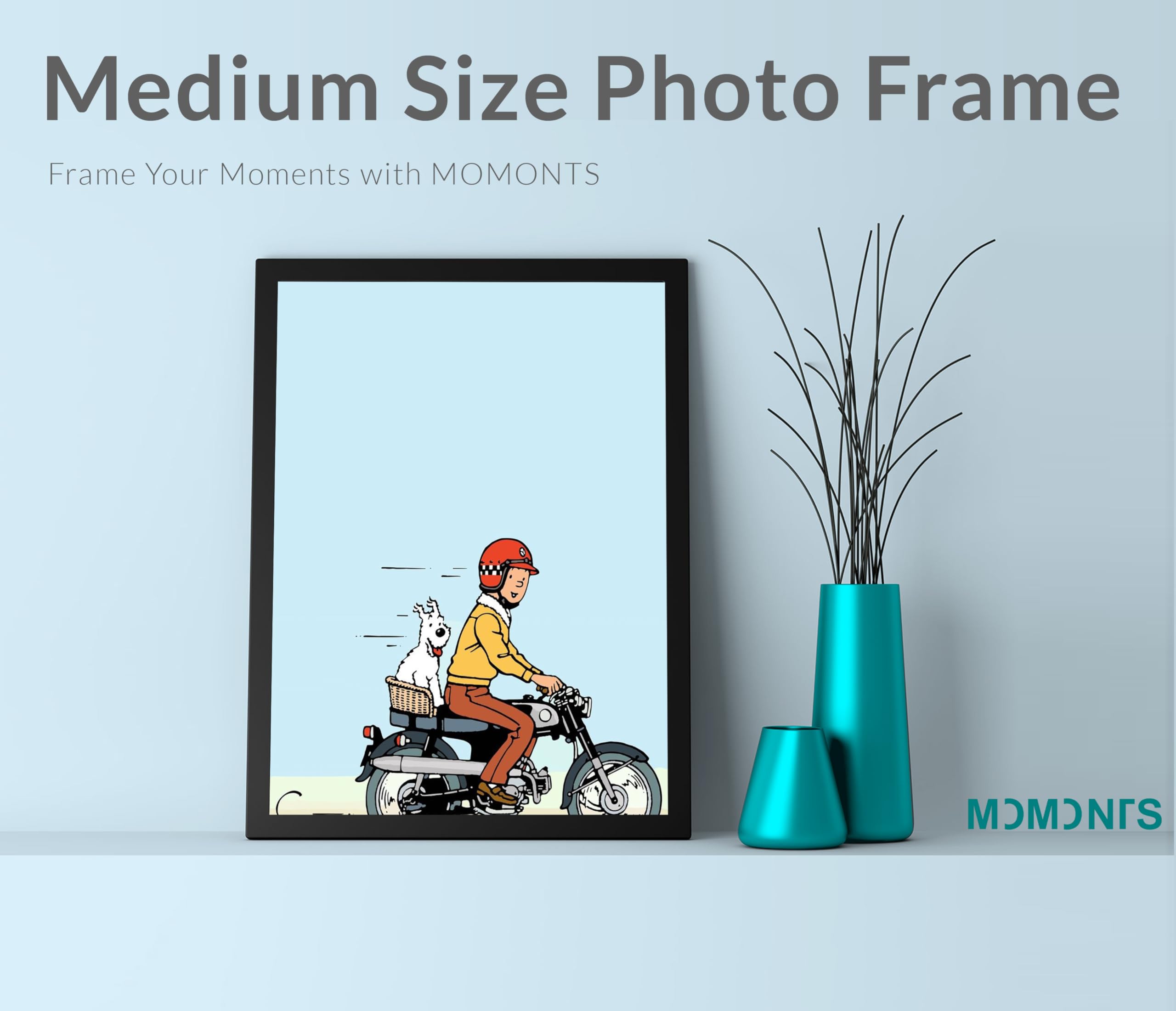 MOMONTS Expressions The Adventure of Tintin: Classic Artwork