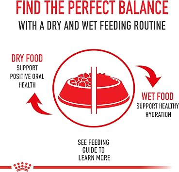 Royal Canin Feline Health Nutrition Adult Instinctive Adult Thin Slices in Gravy Cat Food, 3 oz (Pack of 24)