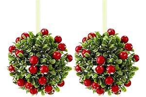 WILLBOND 2 Pieces Real Mistletoe Preserved Mistletoe Hanging Ornaments for Christmas Decorations