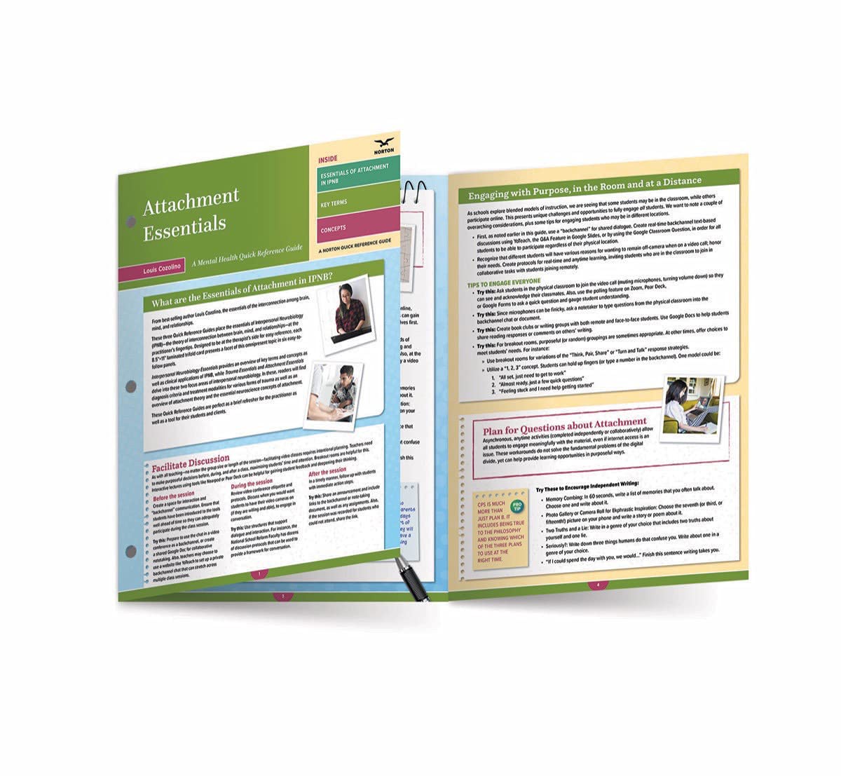 Attachment Essentials: A Mental Health Quick Reference Guide: A Mental Health Quick Reference Guide (A Norton Quick Reference Guide): 0 (Norton Series on Interpersonal Neurobiology)