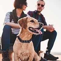 Vista 7 de Fida Collar para perro de alta resistencia, acolchado de neopreno suave ultra cómodo, collar de nailon reflectante ajustable para mascotas