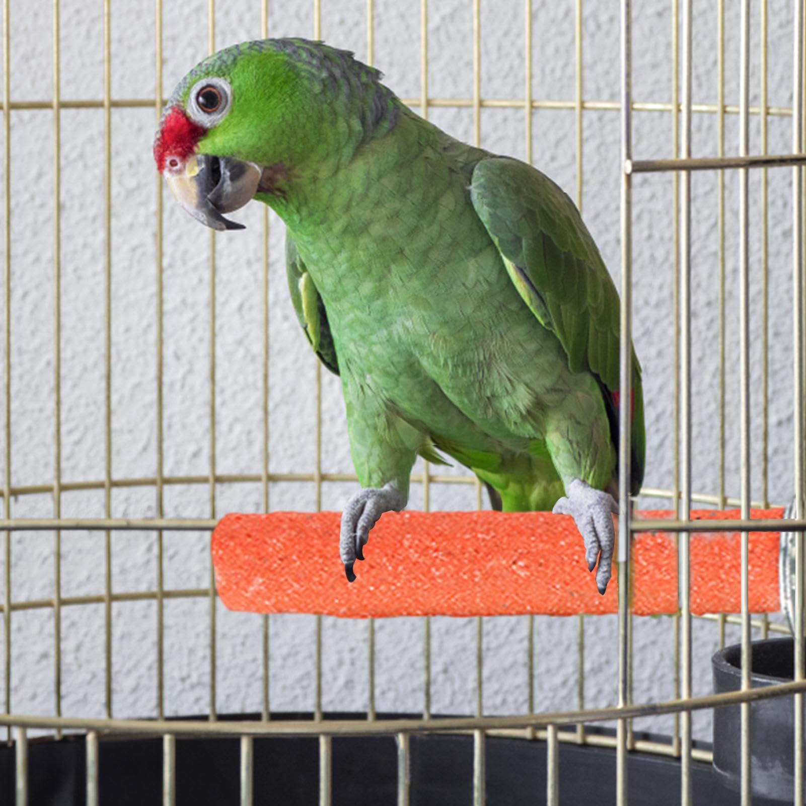 Szlifierka dla ptaków, okonia w klatce dla ptaków – Parrot Frosted stojak na okonie do klatki, zabawka do ostrzenia pazurów, dla papug, papug, gołębi