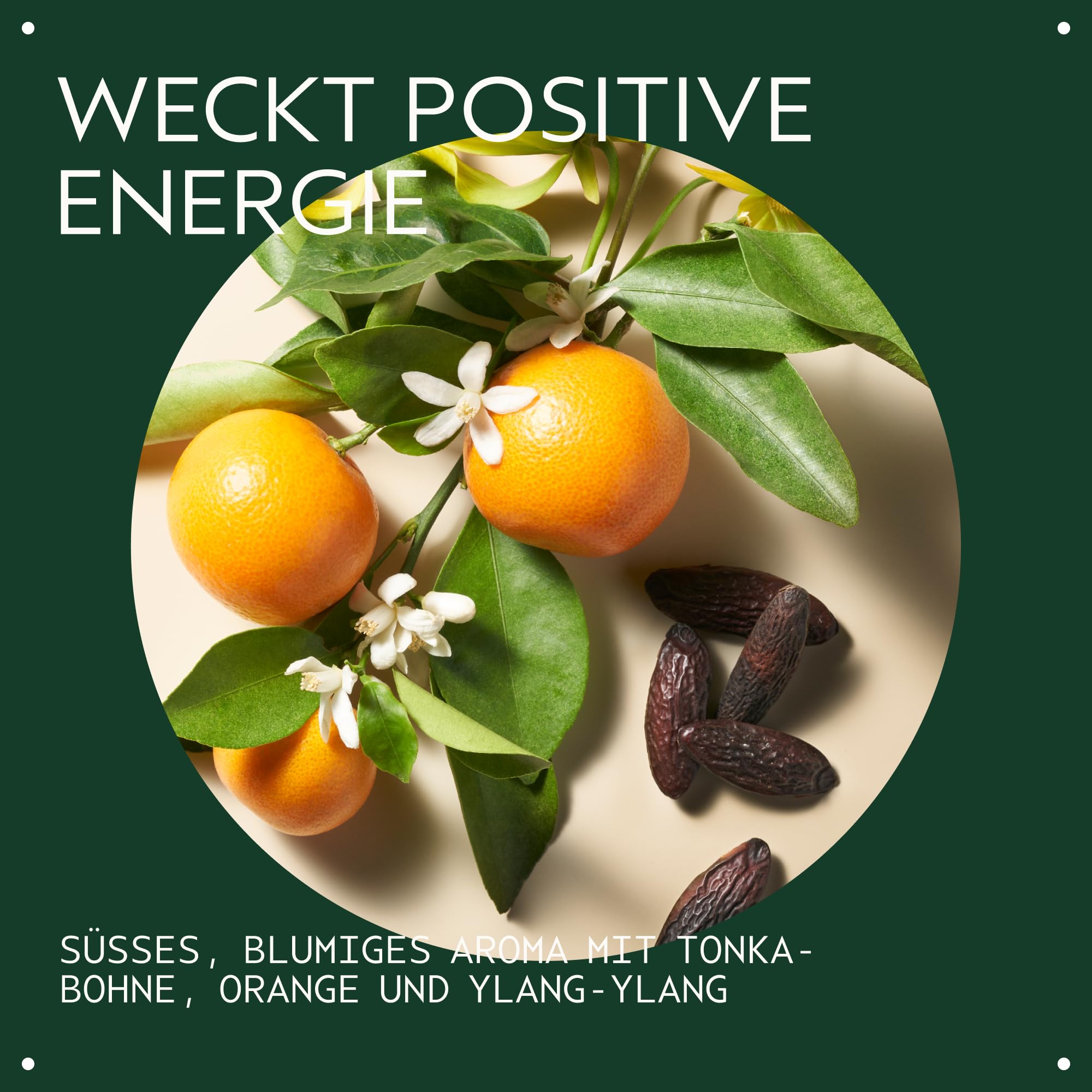 Aveda Cherry Almond™ Softening Conditioner | Haarspülung | Pflegt das Haar & sorgt für Geschmeidigkeit | Für normales bis trockenes Haar