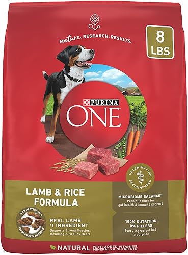 Purina ONE SmartBlend Alimento seco para perros de cordero y arroz natural para adultos