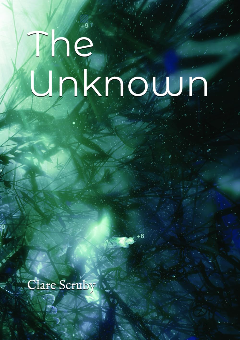 The Unknown