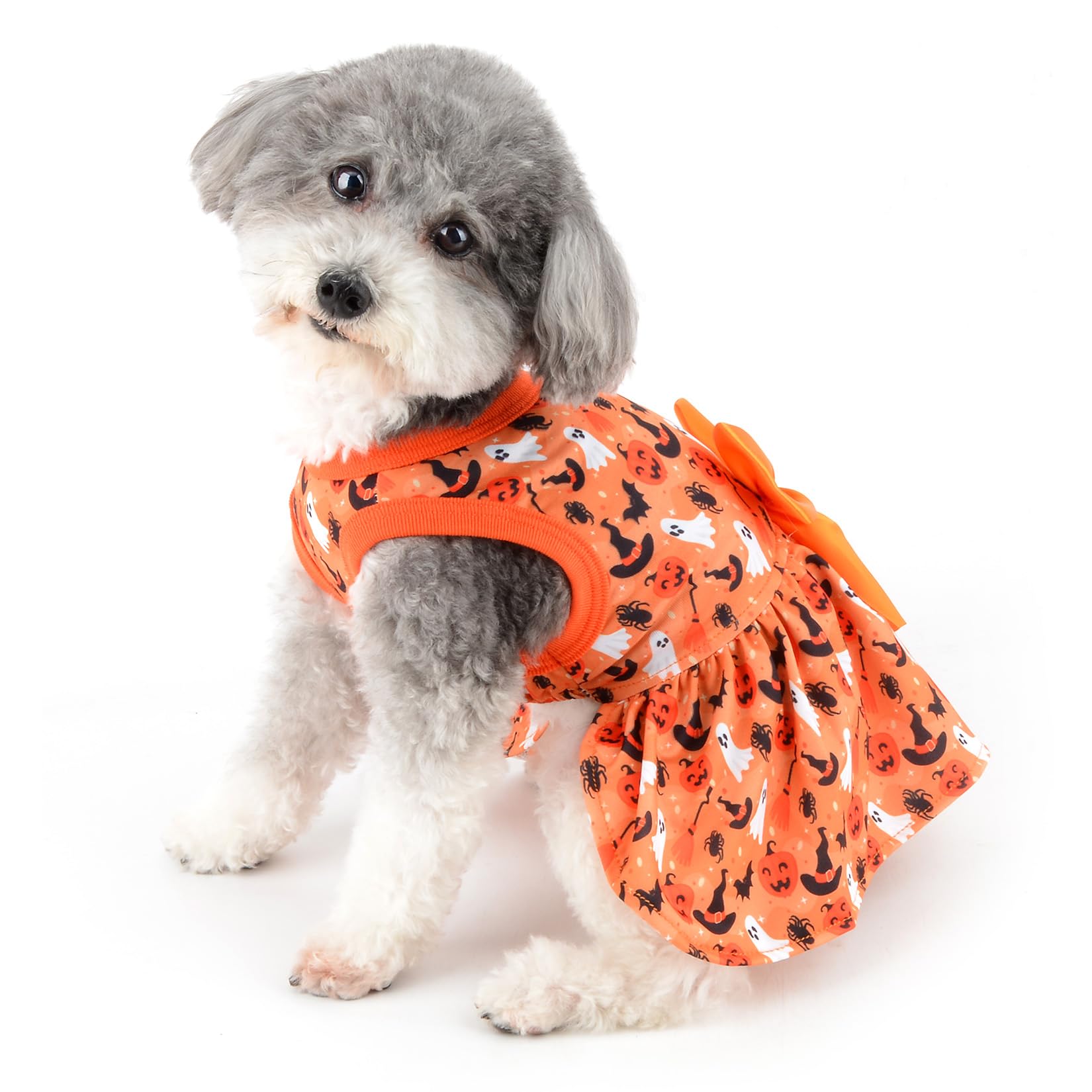 Ranphy Halloween Dog Dress for Small Dog Lightweight Pets Clothes Cute Girl Doggies Skirt Elastic Outfits with Bow Ghost Pumpkin Bat Witch Hat Puppy Cat Holiday Cosplay Costume - Image 3