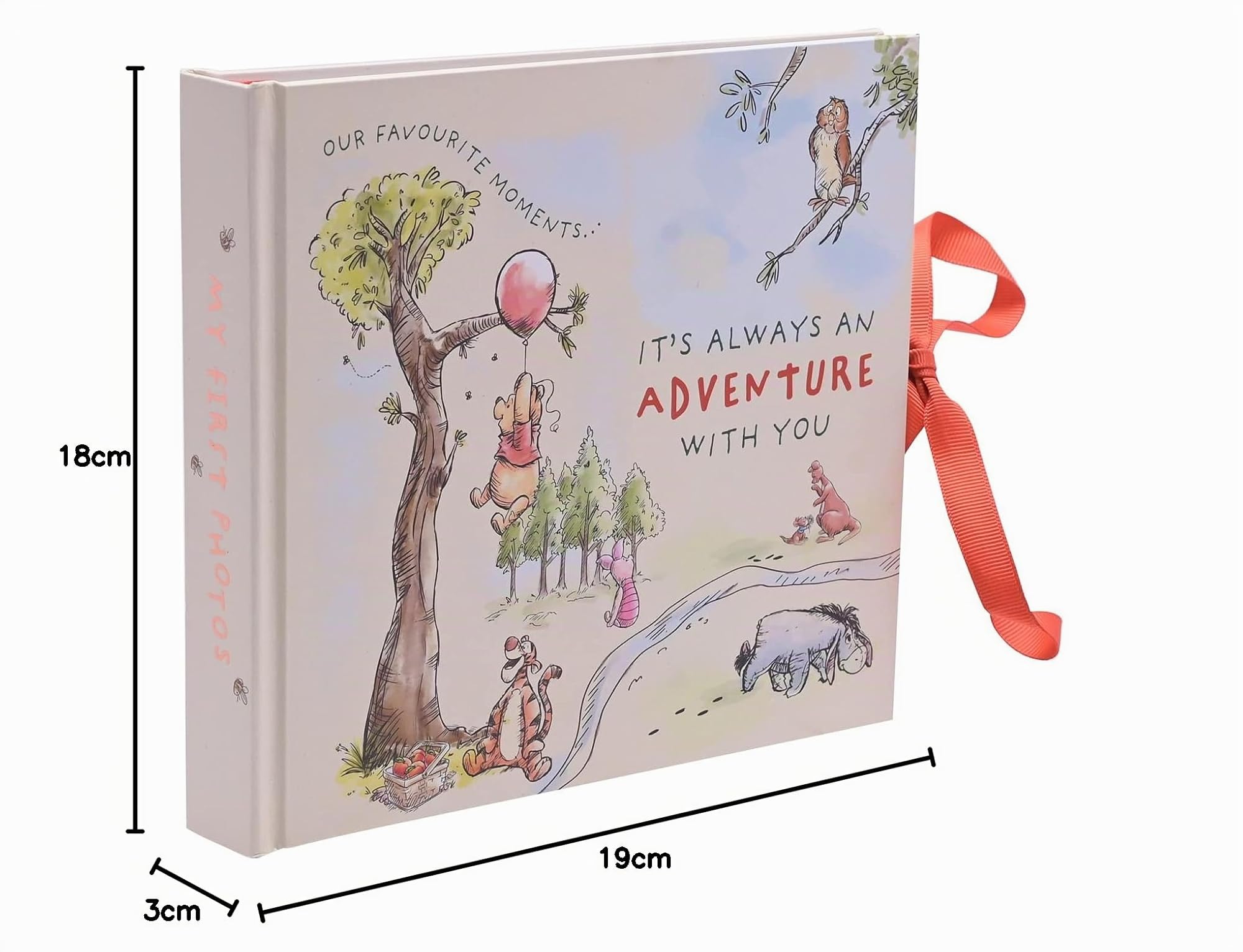 Disney Winnie The Pooh Photo Album