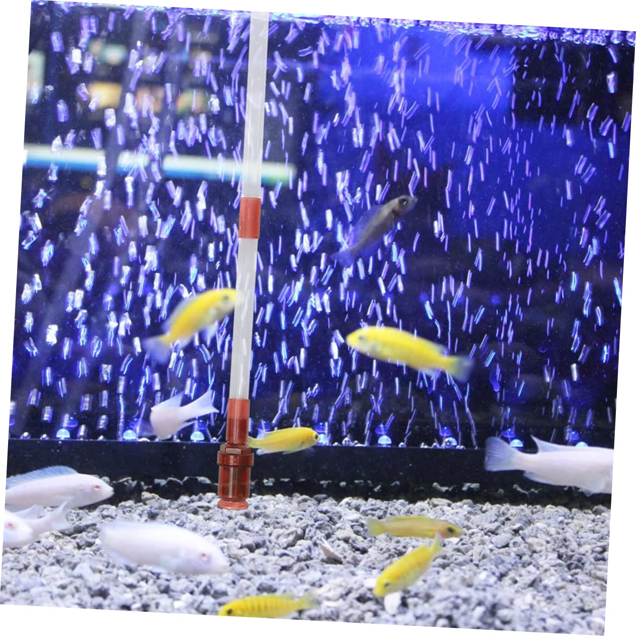 Sifón para Acuarios Portátil y Práctico Herramienta De Limpieza para Peceras Cambia Agua Fácilmente y CREA Un Saludable para Tus Peces