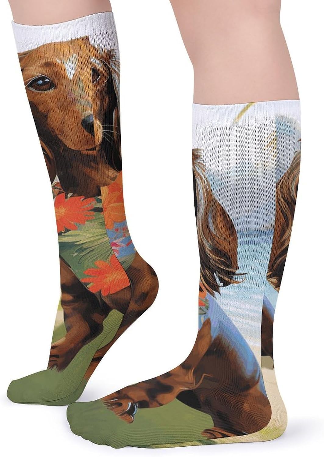 Breathable Crew Sock, Moisture Wicking, Athletic Calf Socks, Cozy | Dachshund Tropical Painting Art Compression Socks for Women Men, Lightweight High Work Socks for Business, Casual